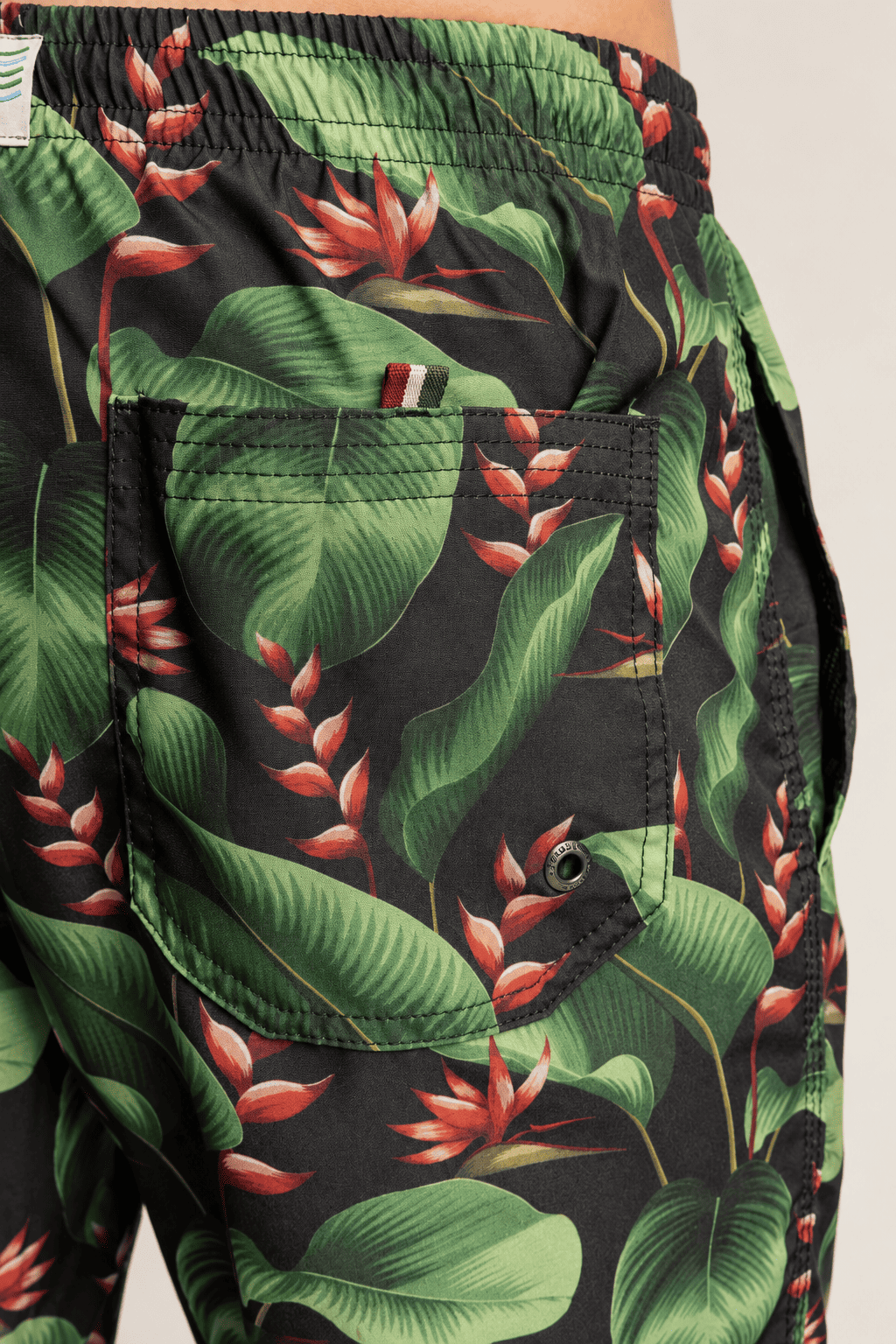 Short Sergio K Praia Estampado Estrelicia