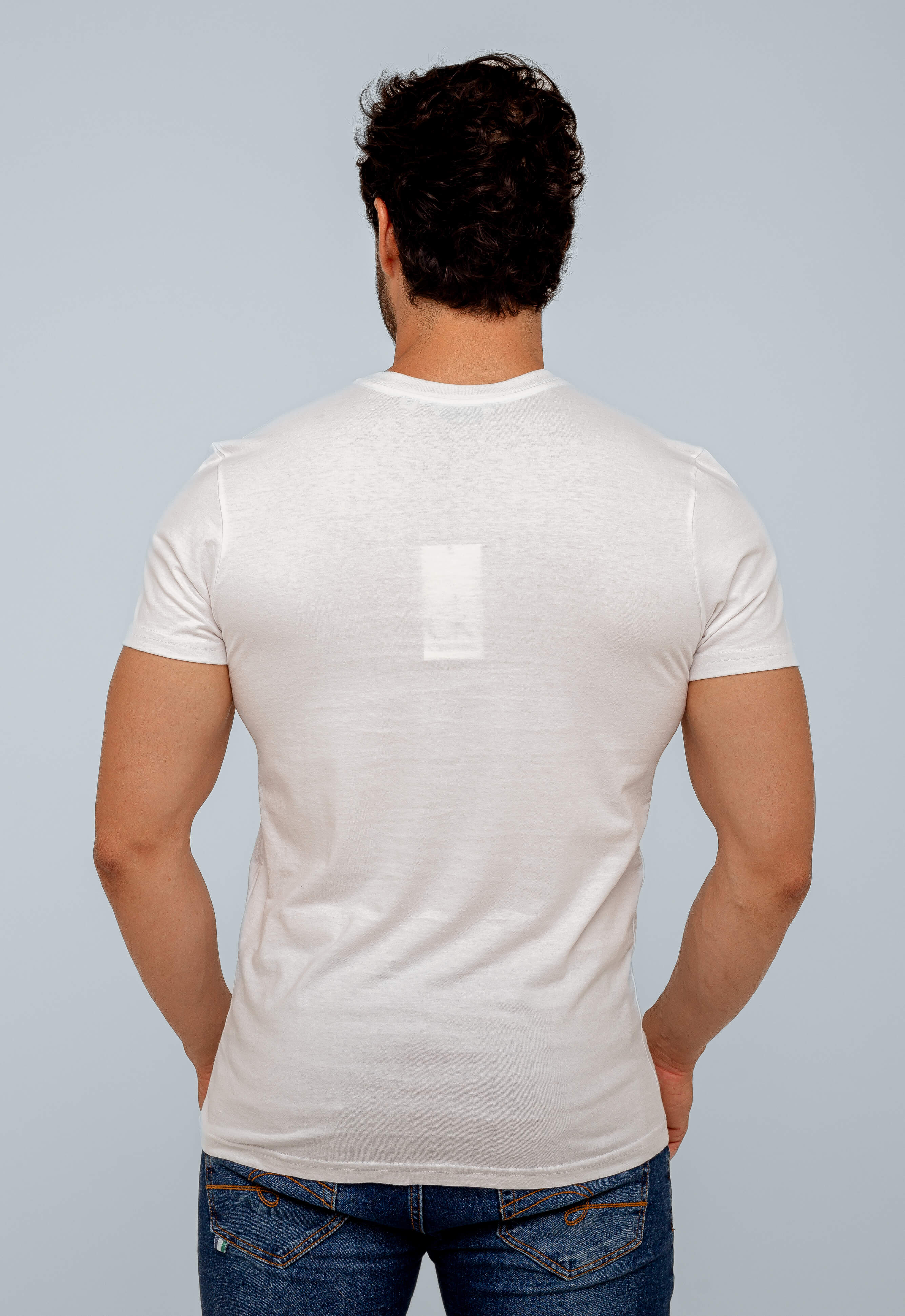 Camiseta Calvin Klein Embossed Logo Central Shine