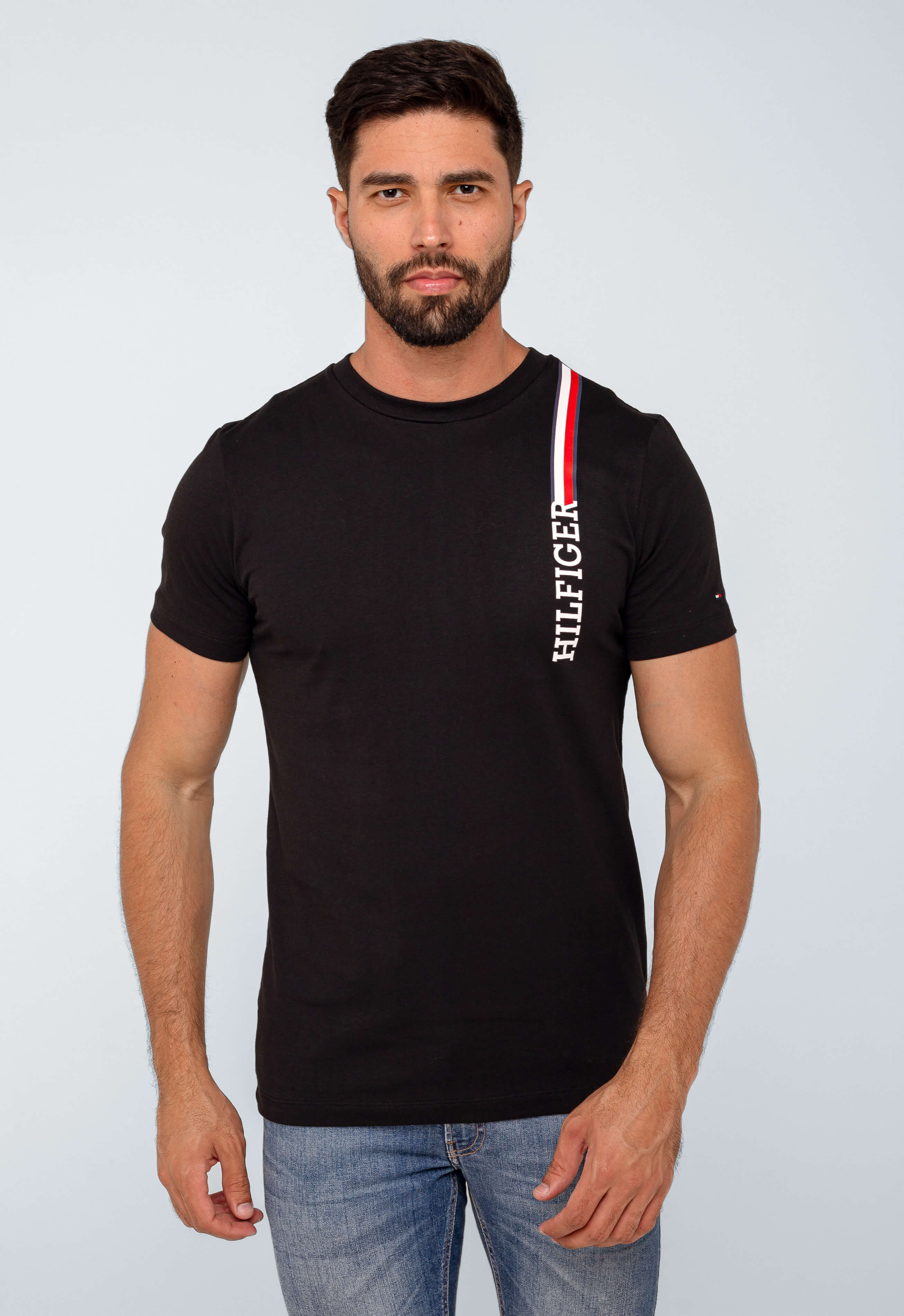 Camiseta Tommy Hilfiger Básica Logo Linear