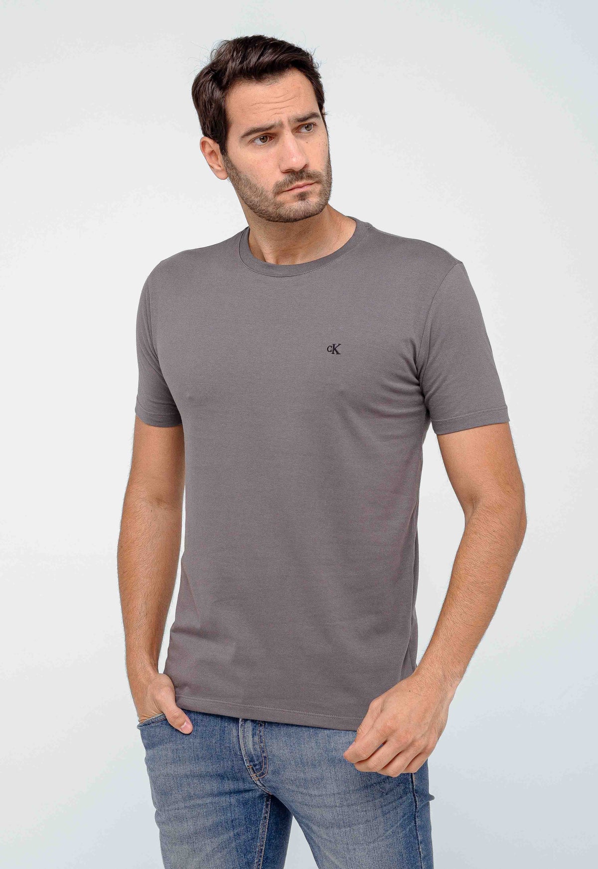 Camiseta Calvin Klein Logo Peito Bordado