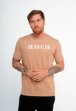Camiseta Calvin Klein Big CK Logo
