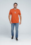 Camiseta Calvin Klein Jeans Logo Center