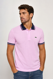 Polo Lacoste Regular Fit - LIVE