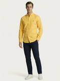 Camisa RL Custom Fit Lisa Poney Colorido