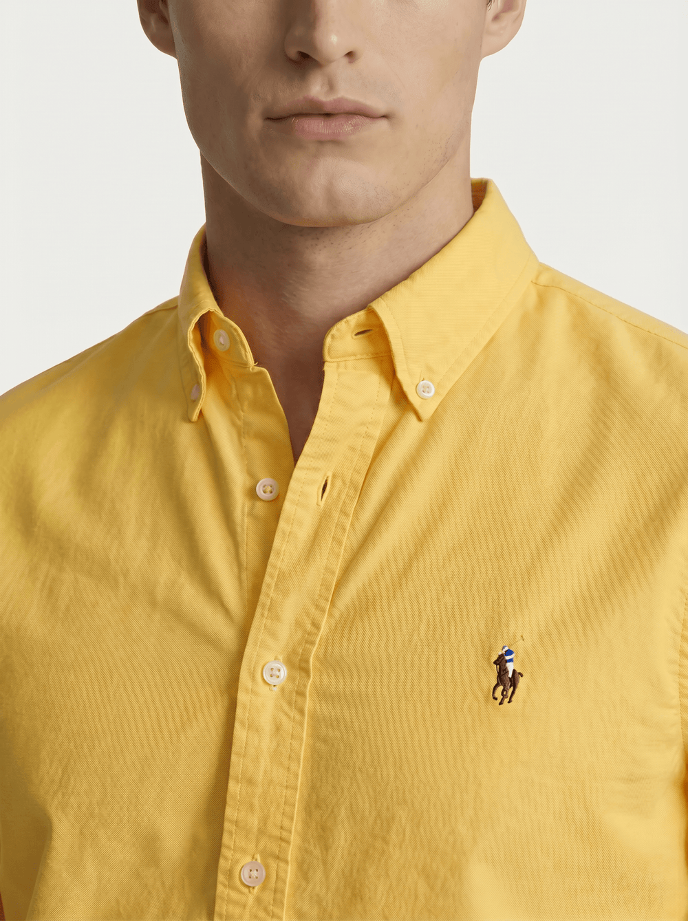 Camisa RL Custom Fit Lisa Poney Colorido - Henri Store