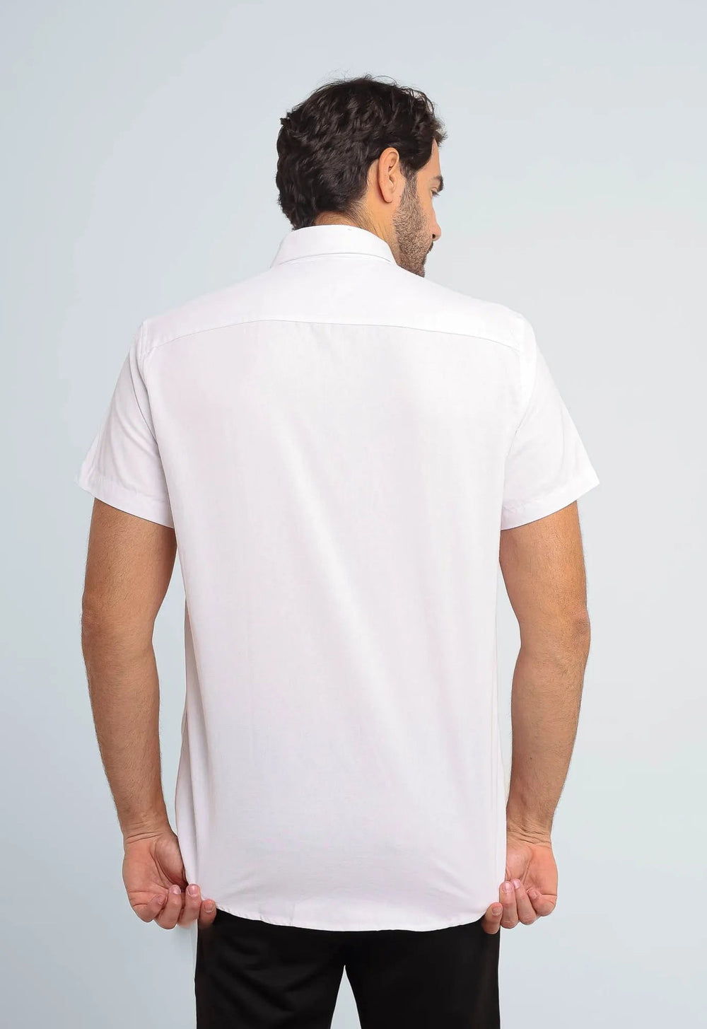 Camisa Tommy Hilfiger Mc Regular Fit Classic - Live - Henri Store