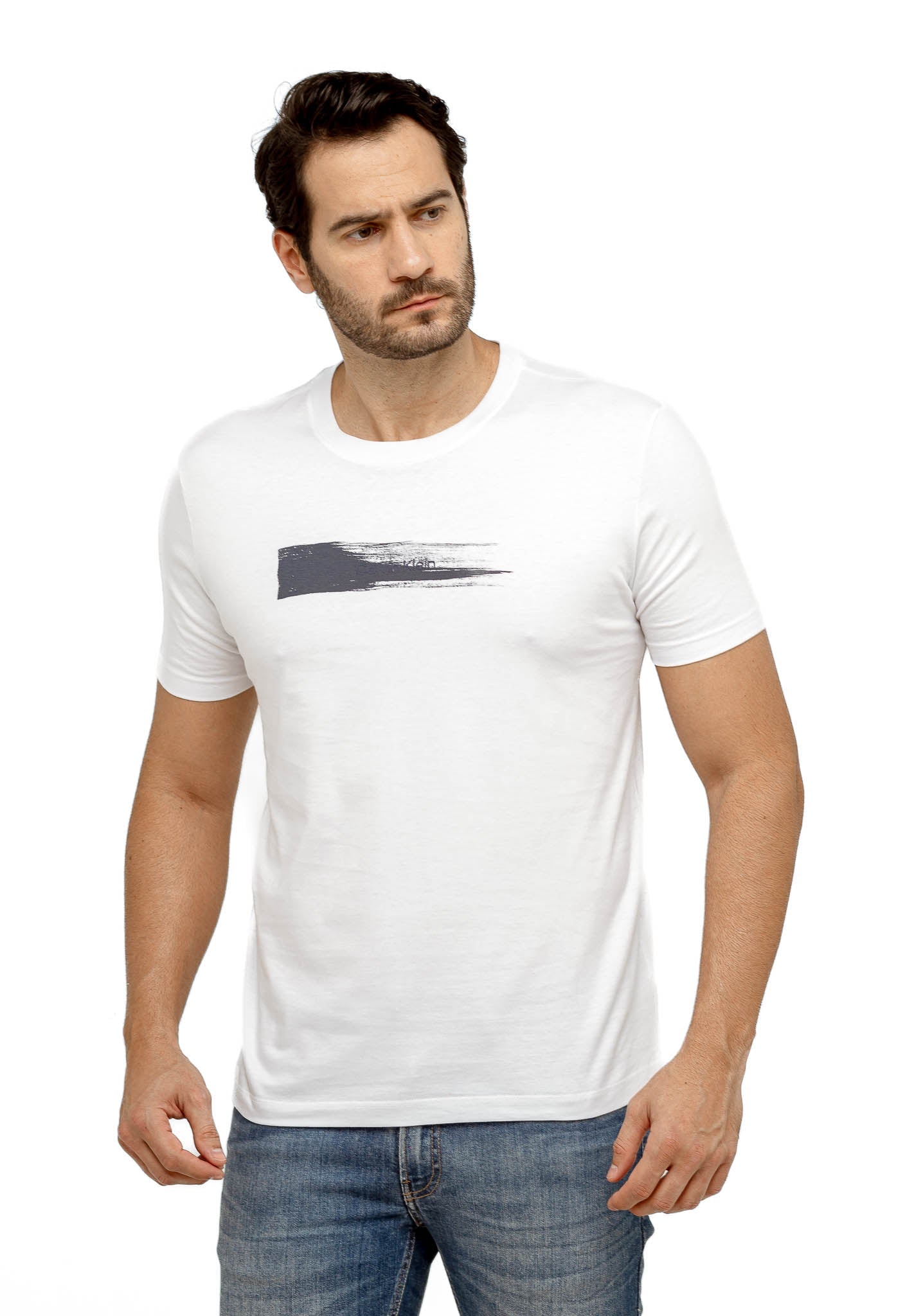 Camiseta Calvin Klein Art Brush - Henri Store
