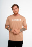 Camiseta Calvin Klein Big CK Logo - LIVE - Henri Store