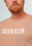 Camiseta Calvin Klein Big CK Logo - LIVE - Henri Store