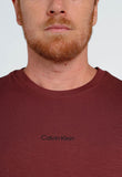 Camiseta Calvin Klein Flamê Logo Central - Henri Store