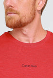Camiseta Calvin Klein Flamê Logo Central - Henri Store