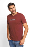 Camiseta Calvin Klein Logo Double - Henri Store