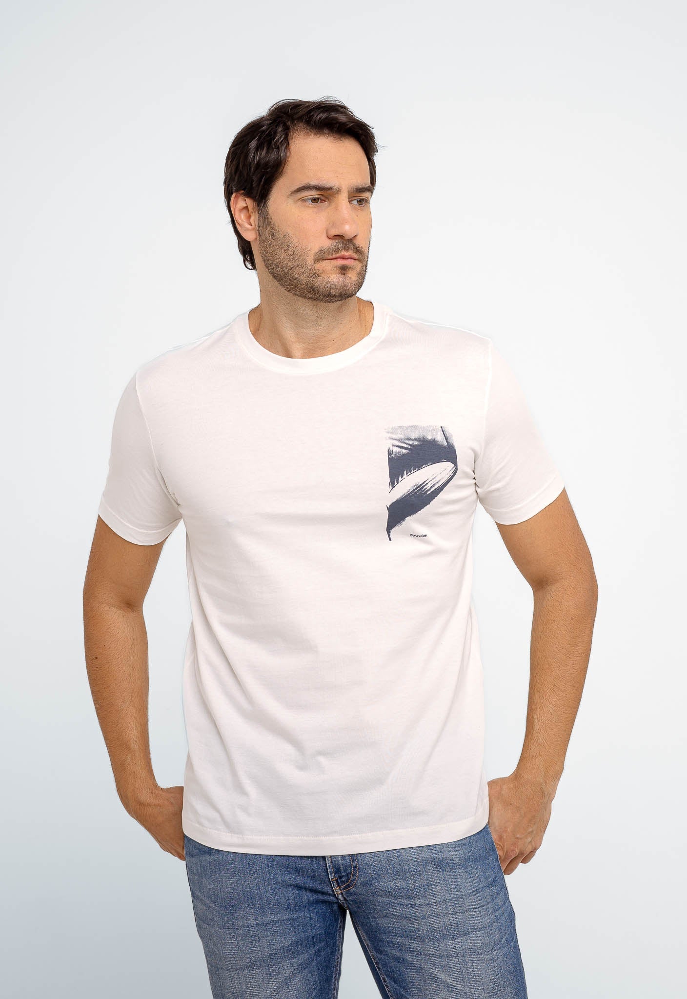 Camiseta Calvin Klein Logo Nyart Culture - Henri Store