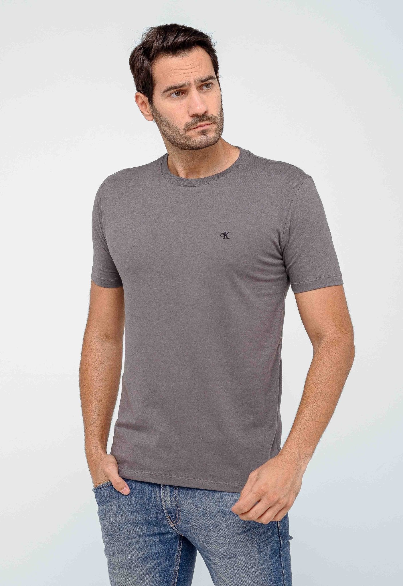 Camiseta Calvin Klein Logo Peito Bordado - Henri Store