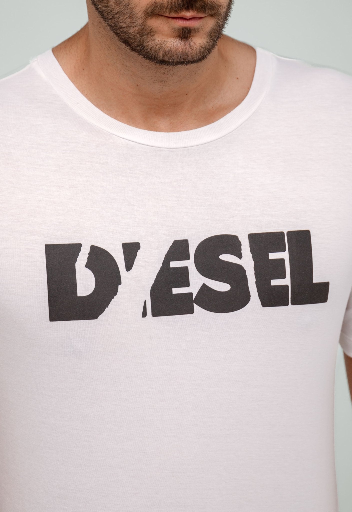 Camiseta Diesel Logo Centro - Henri Store