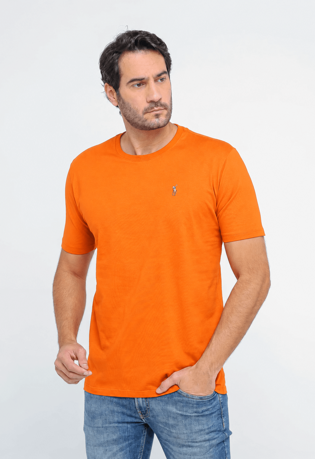 Camiseta Ralph Lauren Custom Slim Fit Logo Colorido - Henri StoreCamiseta
