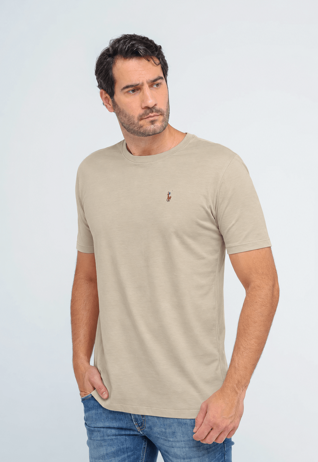 Camiseta Ralph Lauren Custom Slim Fit Logo Colorido - Henri StoreCamiseta