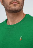Camiseta Ralph Lauren Custom Slim Fit Logo Colorido - Henri StoreCamiseta