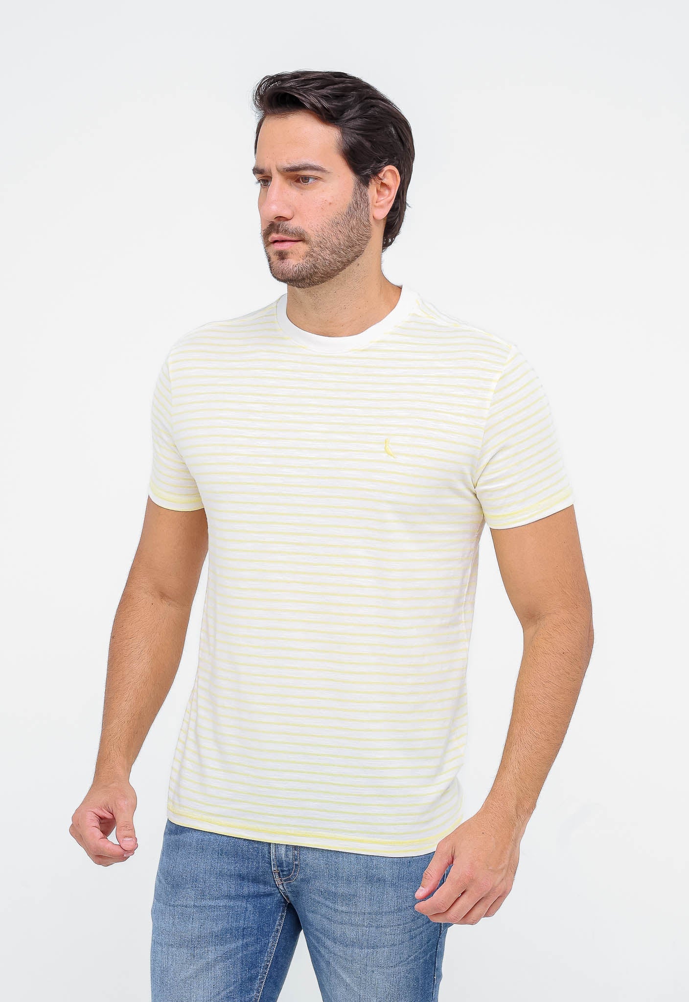 Camiseta Reserva Listrado - SALE - Henri Store