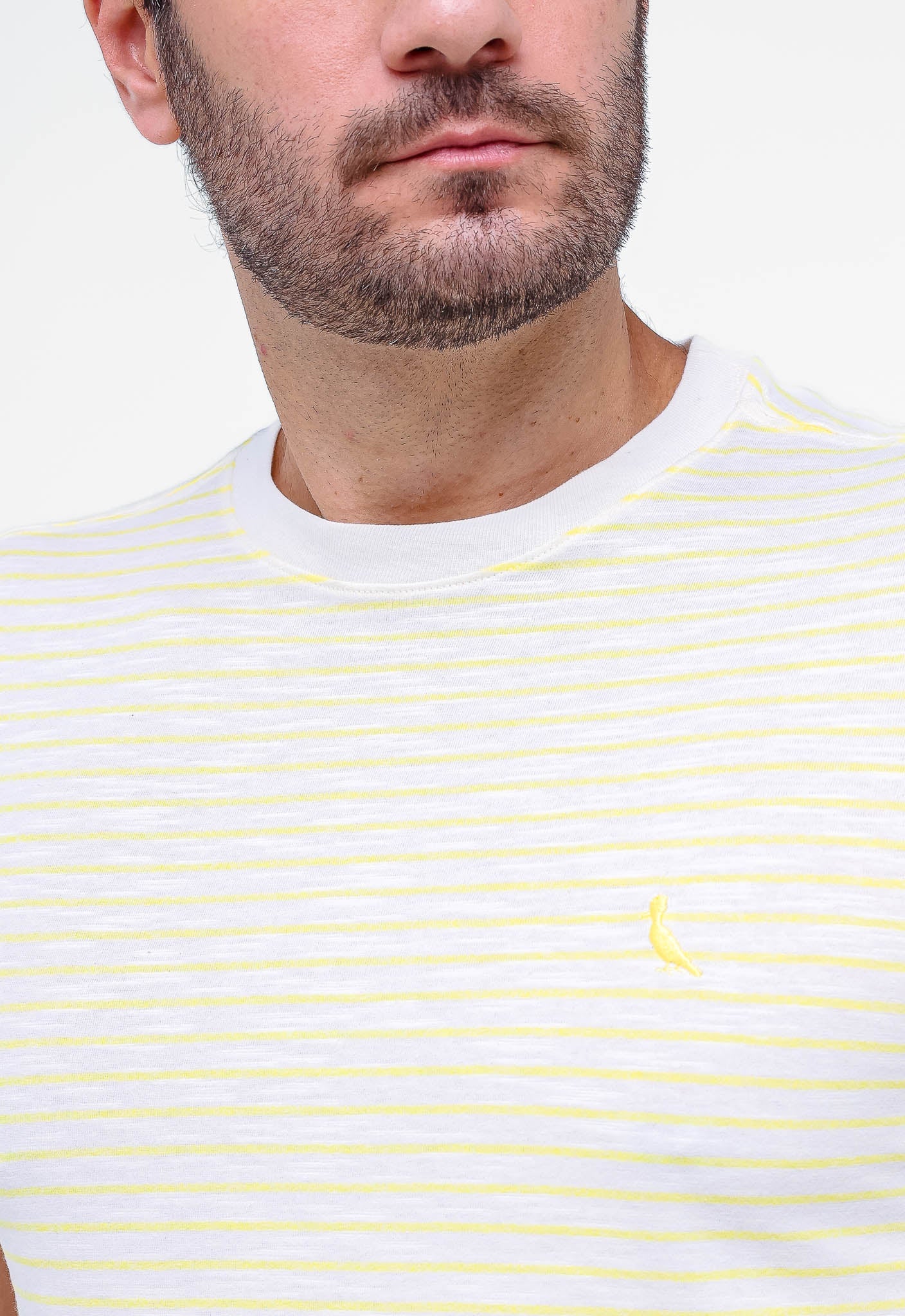 Camiseta Reserva Listrado - SALE - Henri Store