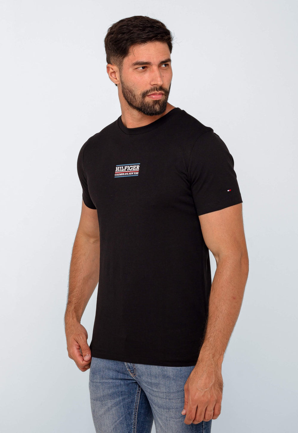 Camiseta Tommy Hilfiger Logo Central Small - Henri Store