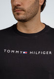 Camiseta Tommy Hilfiger Logo Central - Henri Store