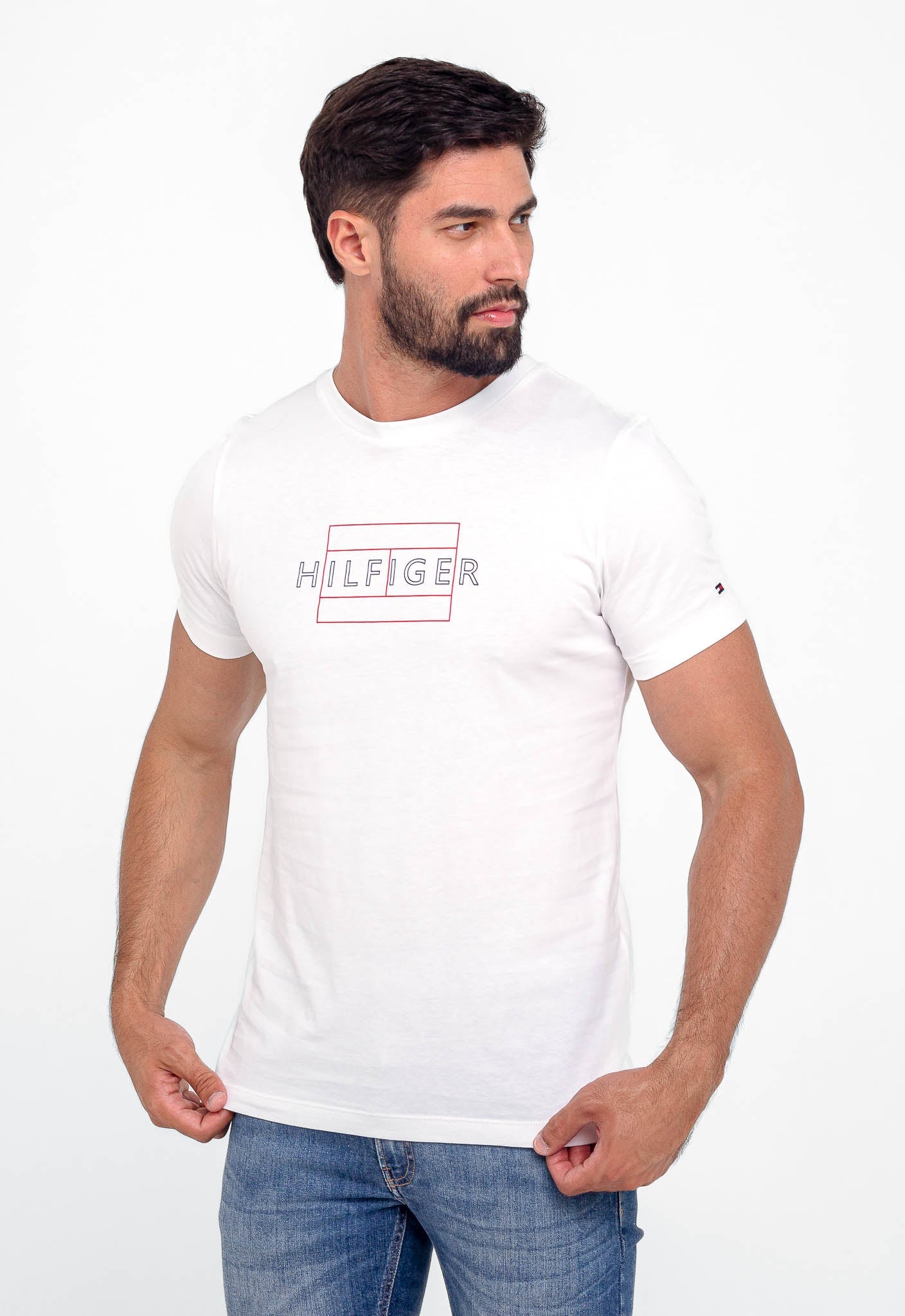 Camiseta Tommy Hilfiger Logo Outline - Henri Store