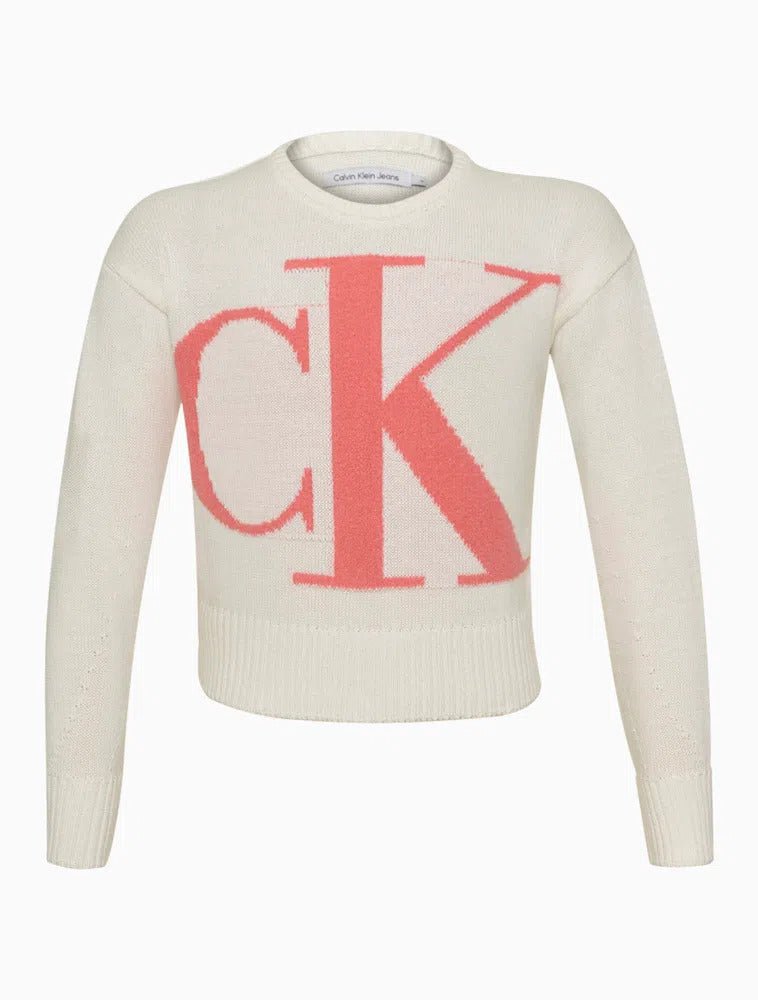 Moletom Calvin Klein Jeans Top Logo Grande Off White Infantil - Henri Store
