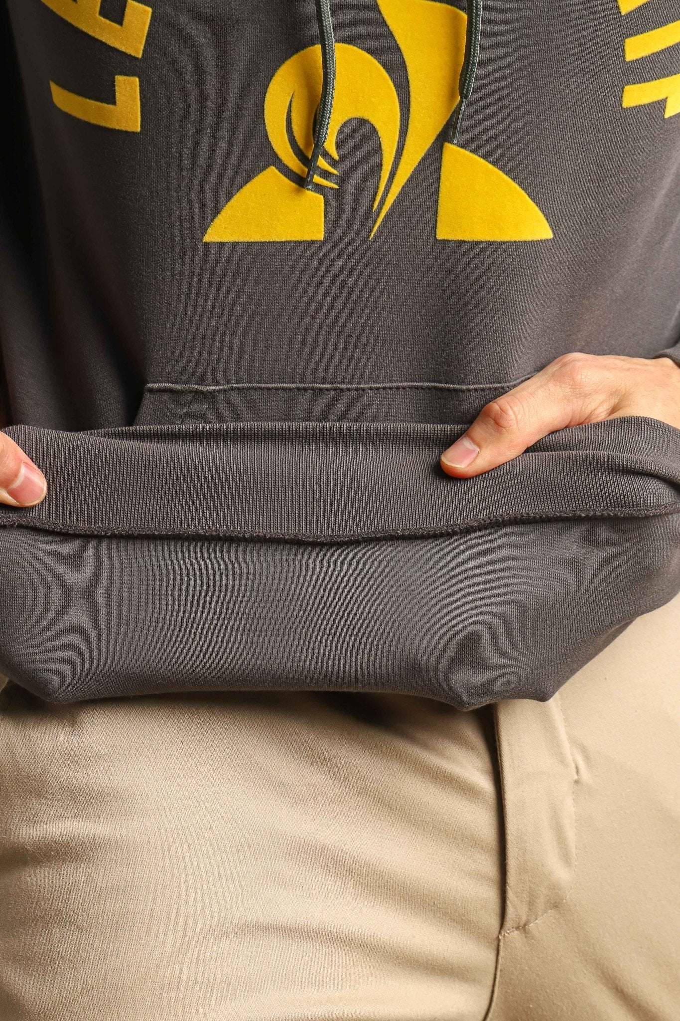 Moletom Le Coq Ess Hoody Arche Ss Magnet / Cinza - Henri Store