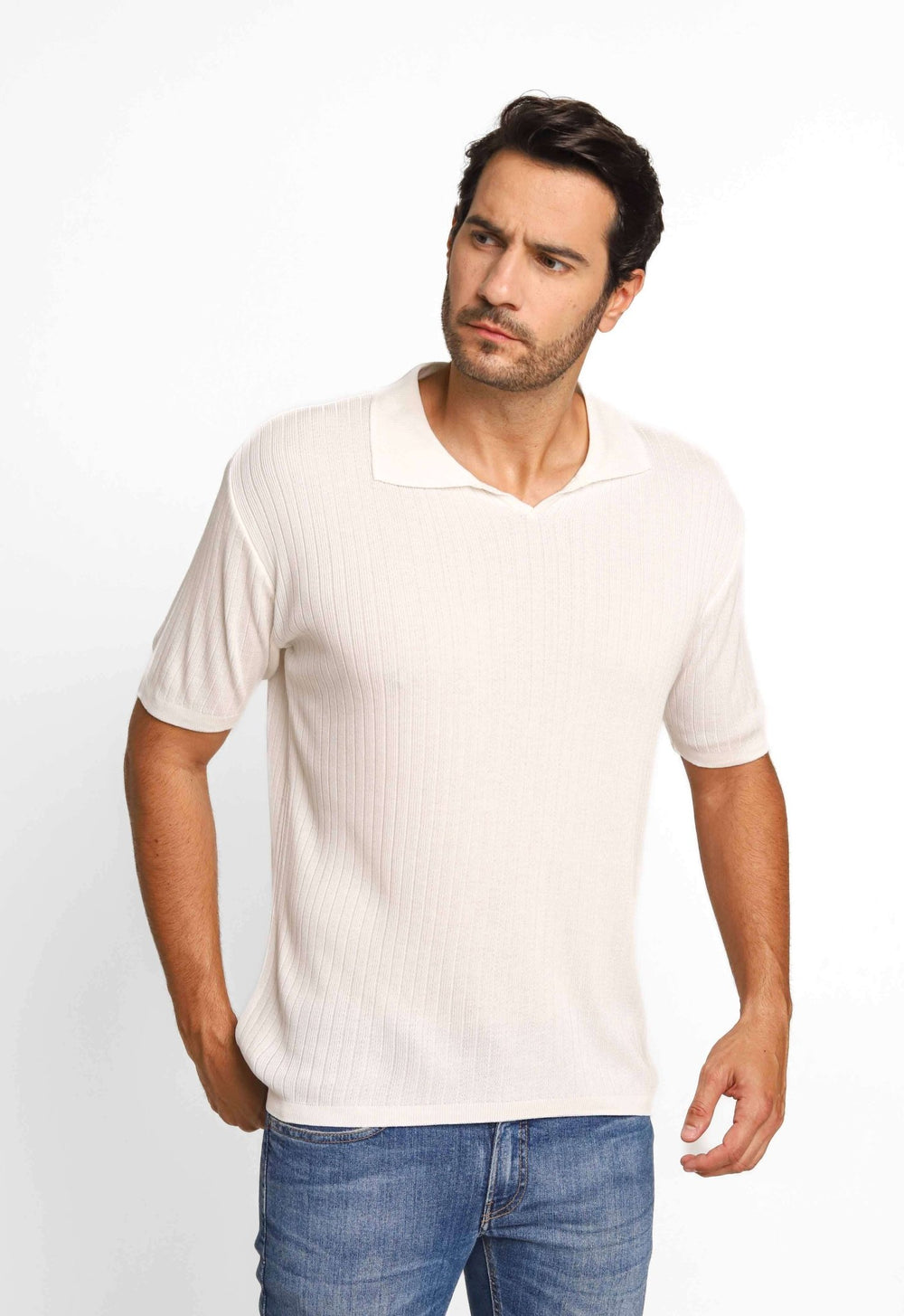 Polo Masculina em Tricot Canelado Dom Henrico - Henri Store