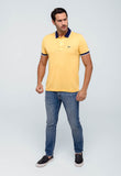 Polo Masculina Regular Fit Lacoste com Friso na Gola - Henri Store