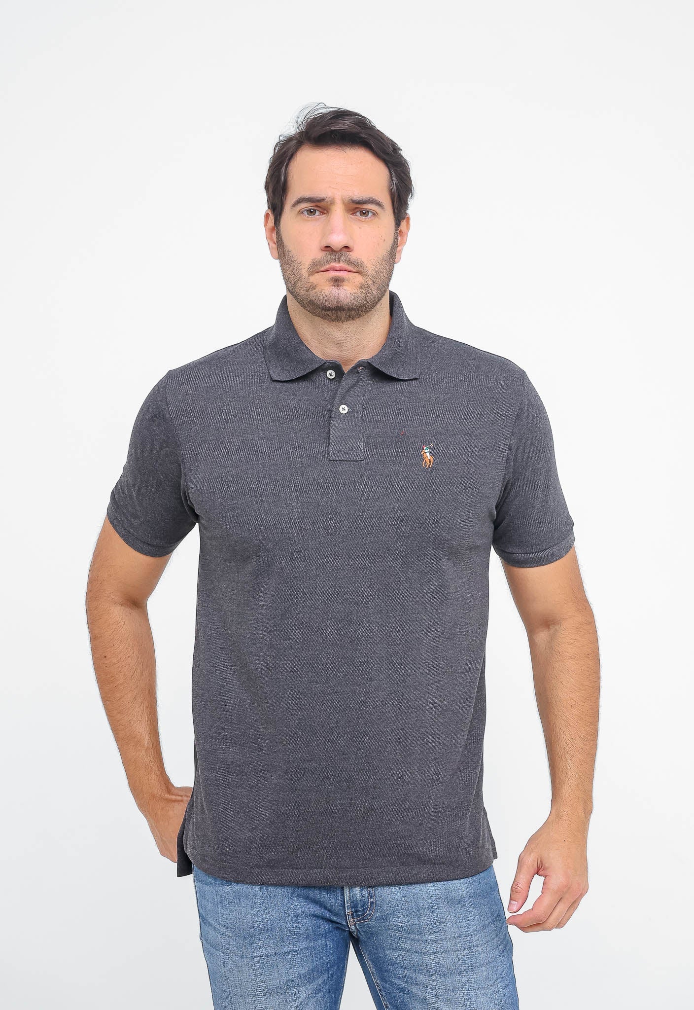 Polo Masculina RL Custom Fit Poney Colorido - Henri Store
