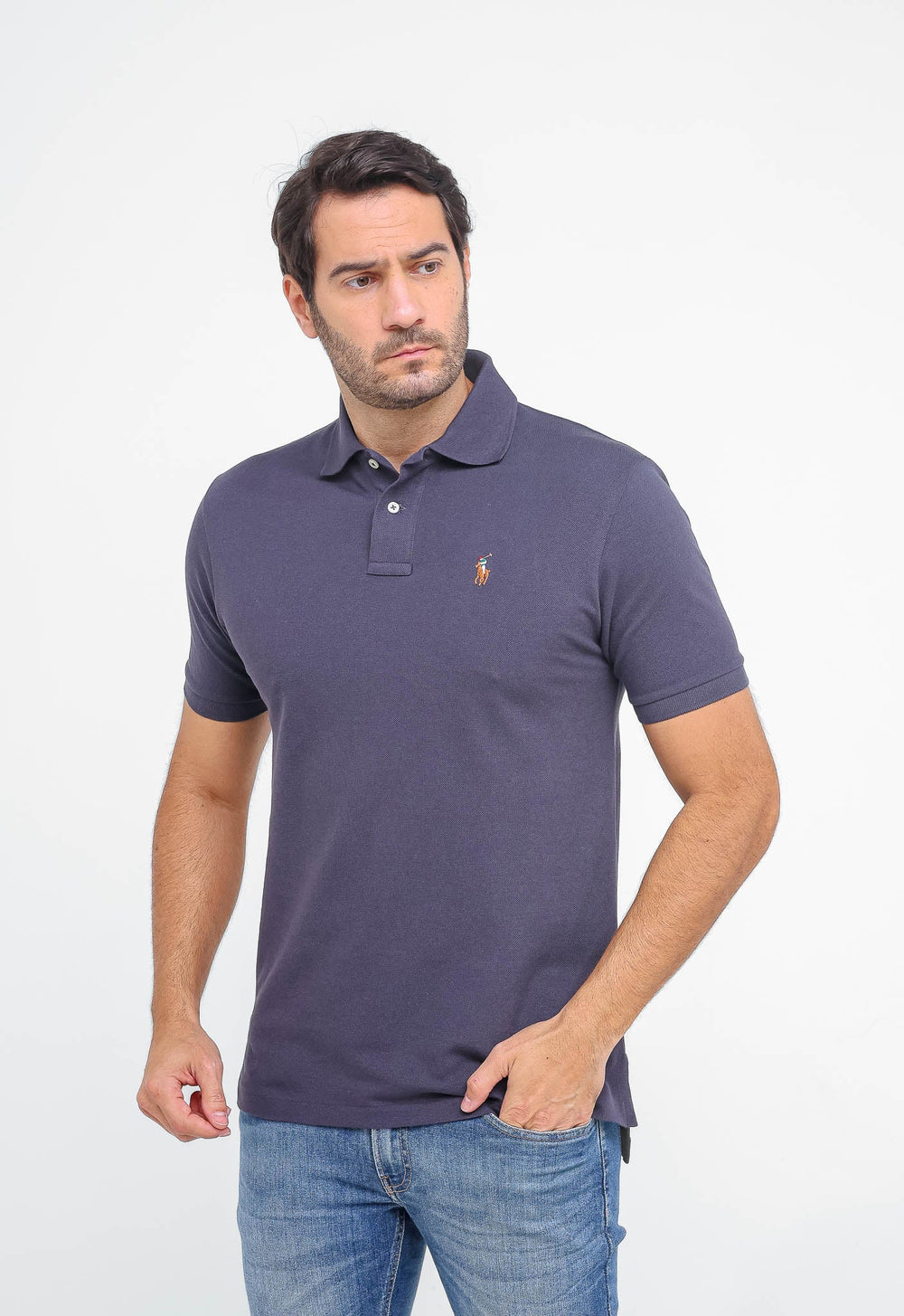 Polo Masculina RL Custom Fit Poney Colorido - Henri Store