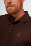 Polo Masculina RL Custom Fit Poney Colorido - Henri Store