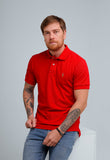 Polo Masculina RL Custom Fit Poney Colorido - Henri Store