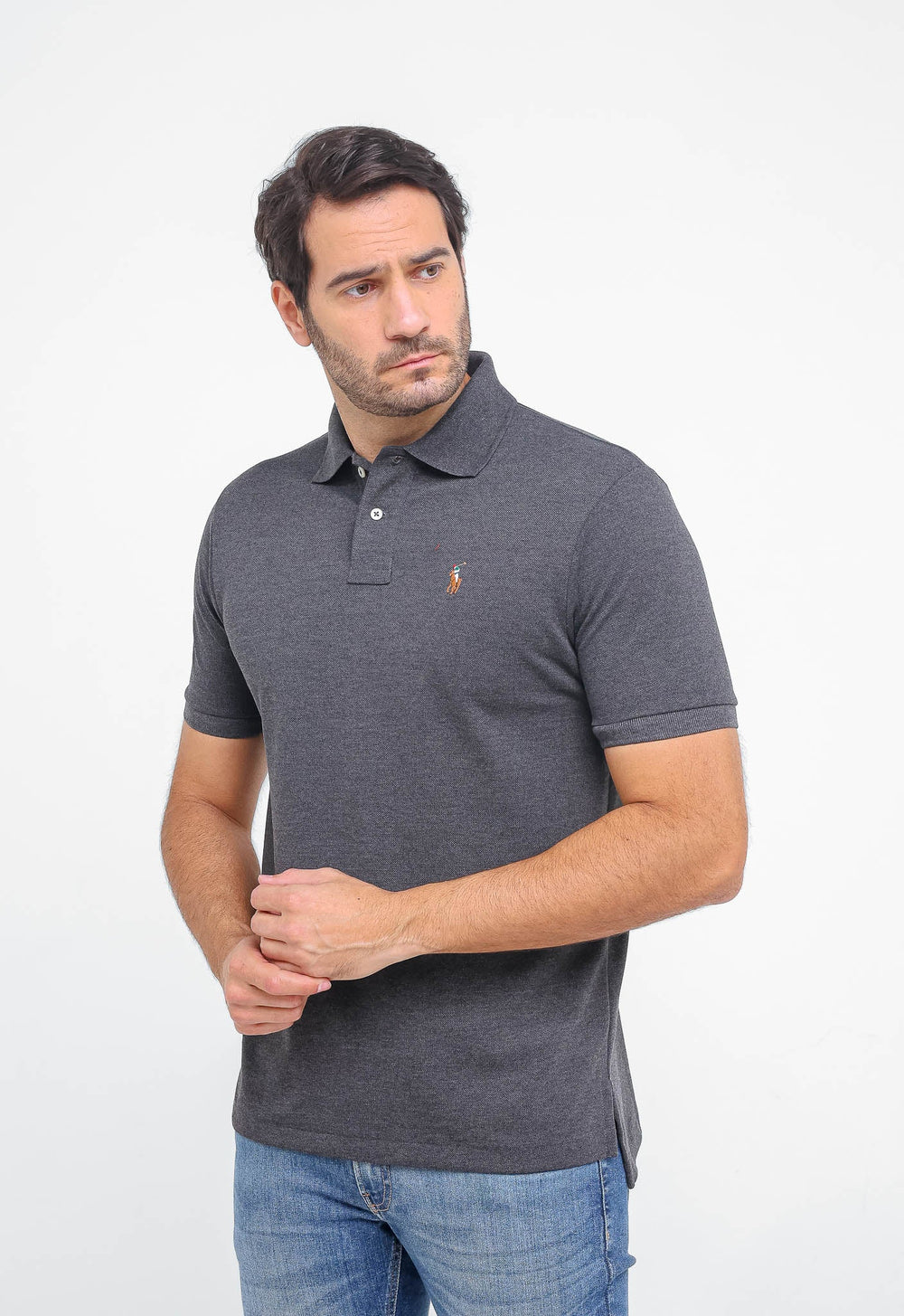 Polo Masculina RL Custom Fit Poney Colorido - Henri Store