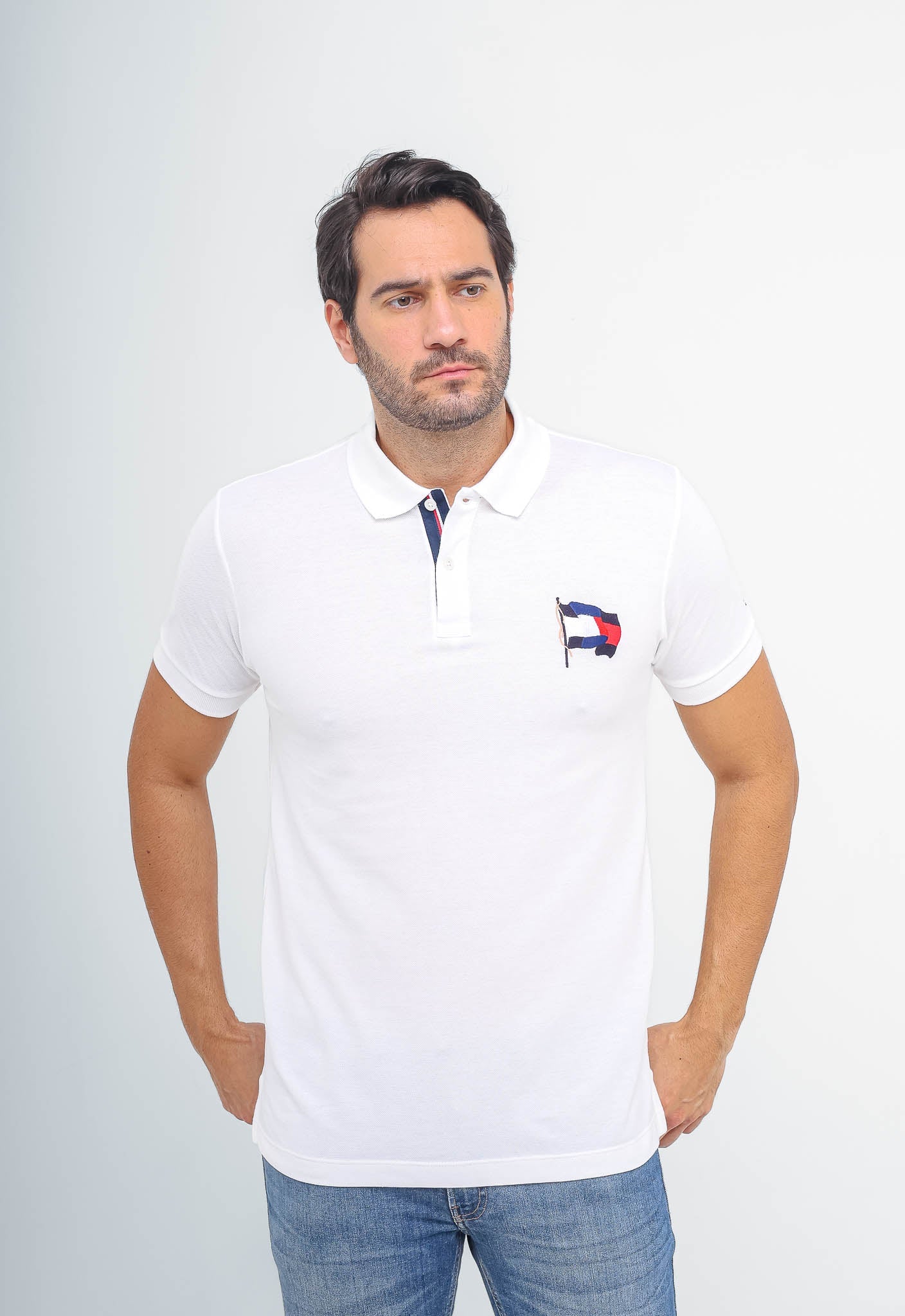 Polo Masculina Tommy Hilfiger Bandeira Estilizada - Henri Store