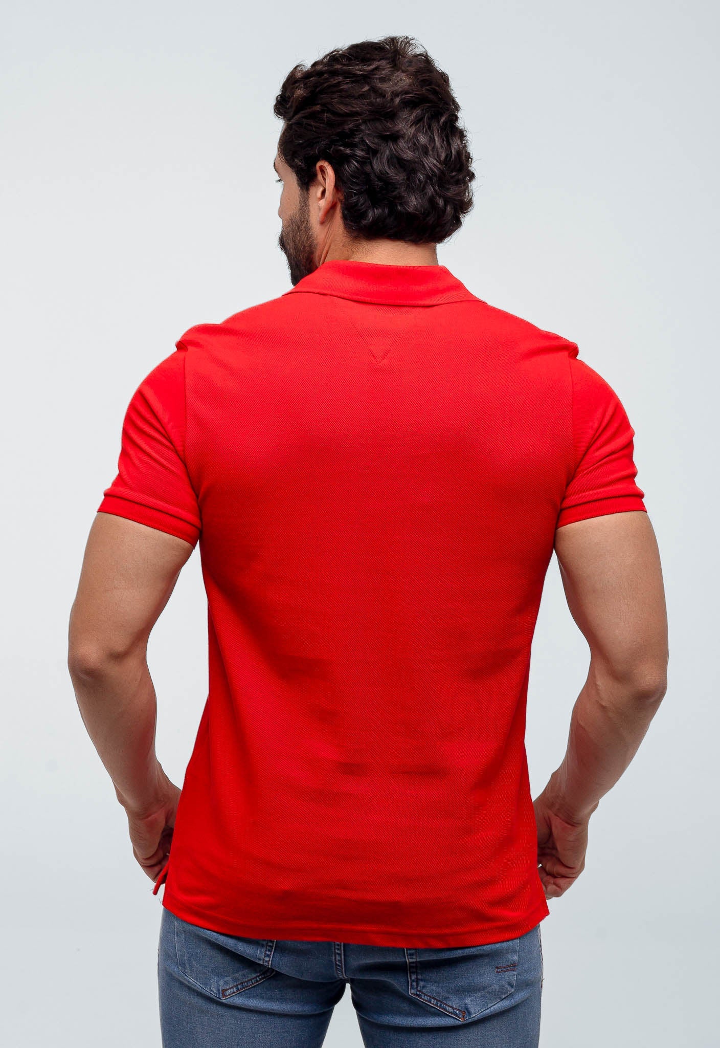 Polo Masculina Tommy Hilfiger Básica Friso Central - Henri Store