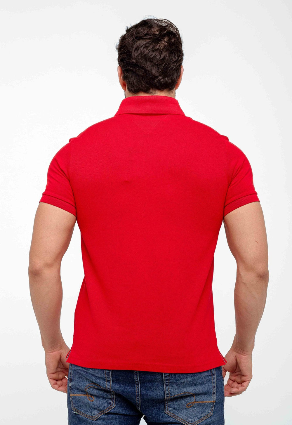 Polo Masculina Tommy Hilfiger Regular Fit - Henri Store