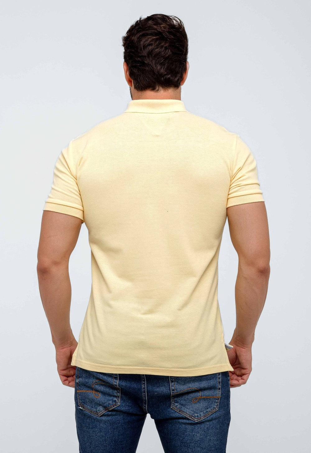 Polo Masculina Tommy Hilfiger Regular Fit - Henri Store