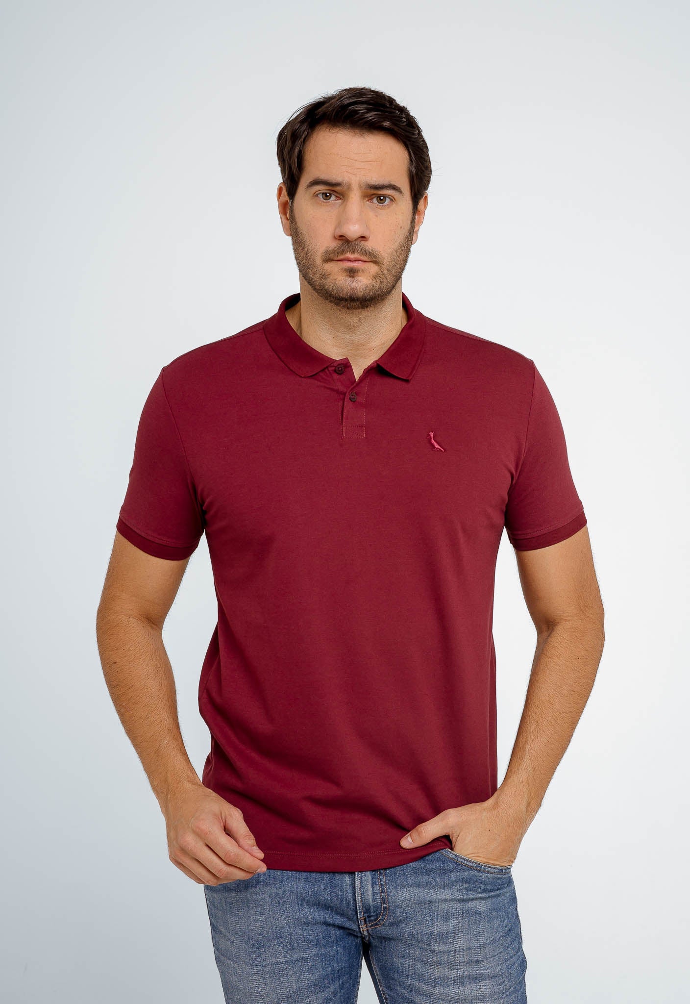 Polo Reserva Básica Pima - Sale - Henri Store