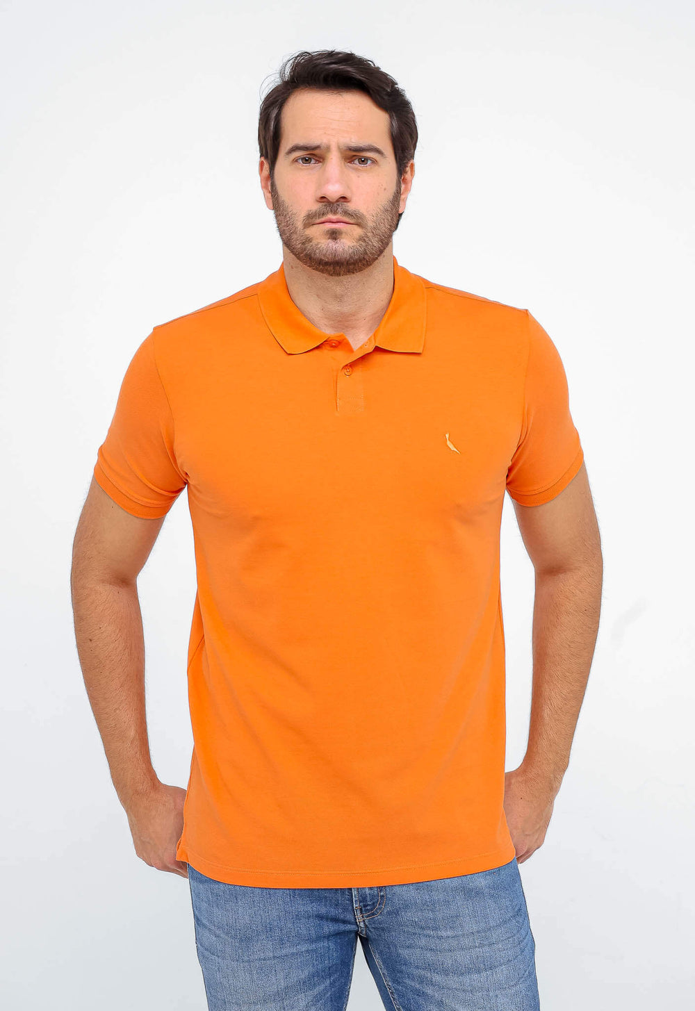 Polo Reserva Básica Pima - Sale - Henri Store