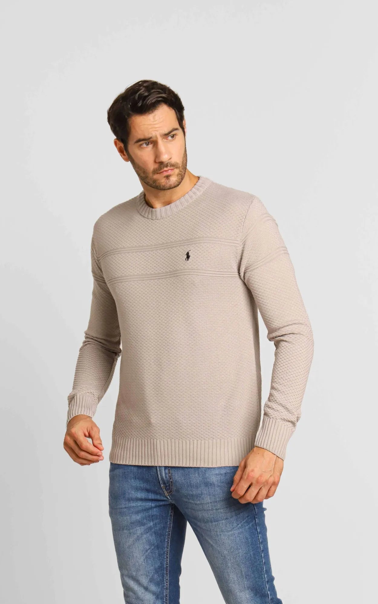 Suéter RL Detalhado Cinza C/ Poney Preto - LIVE - Henri Store