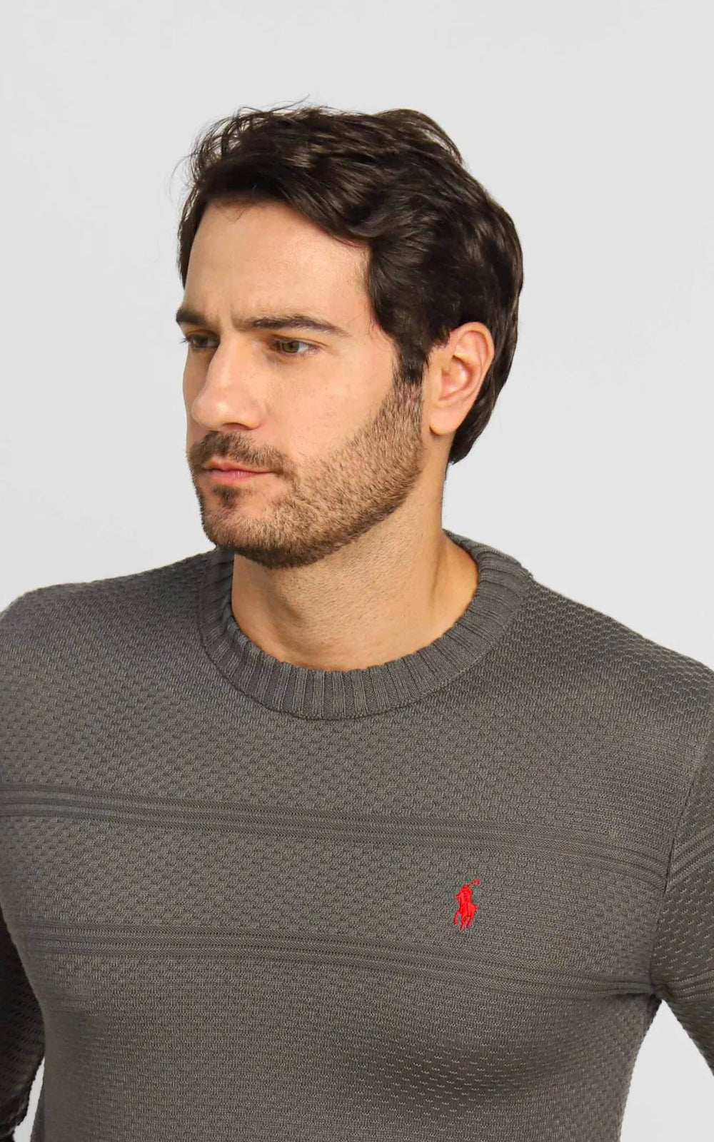 Suéter RL Detalhado Cinza Escuro C/ Poney Vermelho - Henri Store